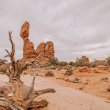 Arches NATIONAL PARK - 2020 ©BDAndrews #bdandrewsphoto