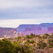 Arches NATIONAL PARK - 2020 ©BDAndrews #bdandrewsphoto