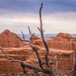 Arches NATIONAL PARK - 2020 ©BDAndrews #bdandrewsphoto