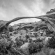 Arches NATIONAL PARK - 2020 ©BDAndrews #bdandrewsphoto