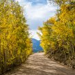 Breckenridge, Colorado and surrounding areas during the fall of 2020. ©BDAndrews www.bdandrews.com