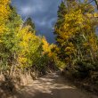 Breckenridge, Colorado and surrounding areas during the fall of 2020. ©BDAndrews www.bdandrews.com