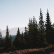 Breckenridge, Colorado and surrounding areas during the fall of 2020. ©BDAndrews www.bdandrews.com