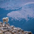 Breckenridge, Colorado and surrounding areas during the fall of 2020. ©BDAndrews www.bdandrews.com