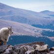 Breckenridge, Colorado and surrounding areas during the fall of 2020. ©BDAndrews www.bdandrews.com