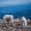 Breckenridge, Colorado and surrounding areas during the fall of 2020. ©BDAndrews www.bdandrews.com