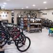 Trek | San Pedro, MEX