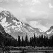 In July 2019, I took a road trip out to Glaicer National Park in Montana then to Banff in Alberta Canada. While traveling I took these images. ©BDAndrews2019 www.bdandrews.com