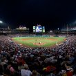 Fisheye: Turner Field