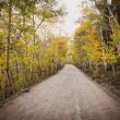 Breckenridge, Colorado and surrounding areas during the fall of 2020. ©BDAndrews www.bdandrews.com