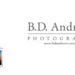 Gallery Images