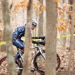 Rider through the Trees